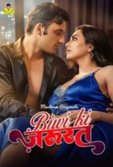Biwi Ki Jarurat (2026) Mastram S01 E01-03 Web Series